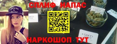 гашик Шебекино