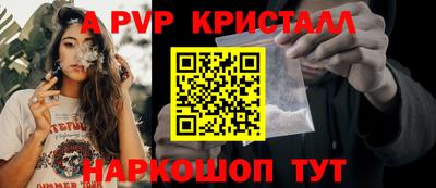 гашик Шебекино
